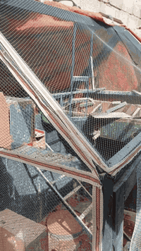 السلام عليكم قفص للبيع كامل ويا الخانات قفله 50 الف مكان راوه توصيل داخل راوه فقط الطوب متر ونص يطبع والعرض متر بي فقط اضرار شك جوه وشك فوك بكد جف ليد


**إذا كنت صاحب هذا الإعلان وتريد حذفه لأي سبب، رجاءا أرسل رسالة إلى الدعم الفني**