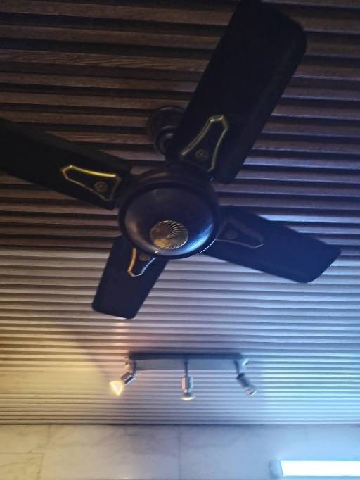 مرواح عدد ٢ نوع باكستاني اوصوميه نفر صاج مدوشومه الشراي يجي خاص بسعر مناسب كلهن شراي تعال خاص عنوان بغداد لايوجد توصيل


**إذا كنت صاحب هذا الإعلان وتريد حذفه لأي سبب، رجاءا أرسل رسالة إلى الدعم الفني**