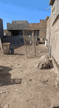 قطعه للبيع  حي الجزائر مقابيل مستشفي مرجان بعد سجه مساحه 200متر وجهيه 10نزل 20 طابو زراعي سند 25 ***********بي واتساب
