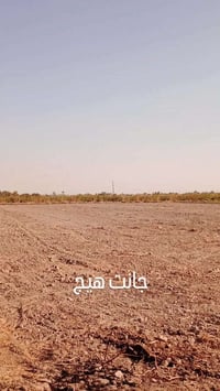 دوانم • ابو غريب • سند 25