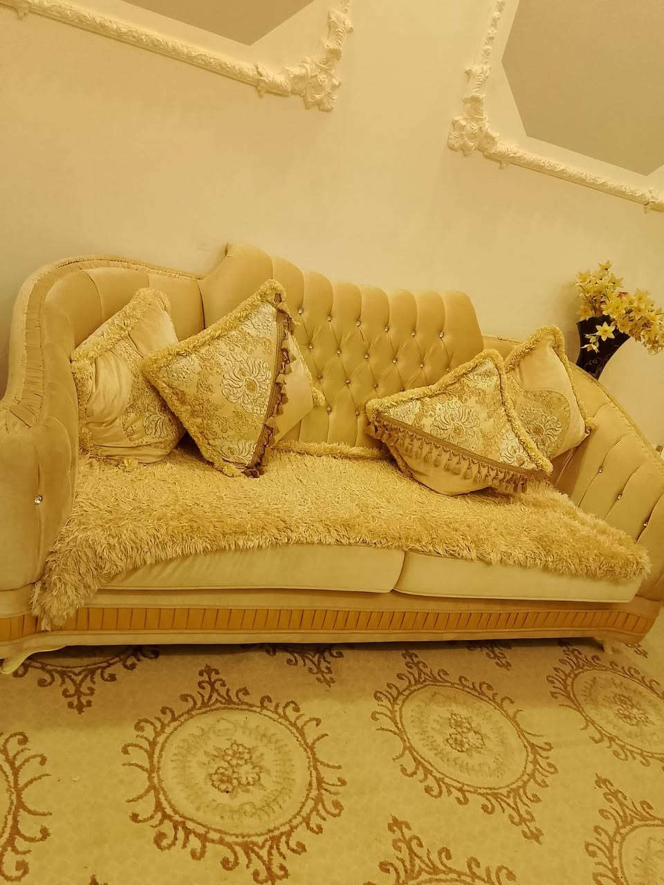 450


**إذا كنت صاحب هذا الإعلان وتريد حذفه لأي سبب، رجاءا أرسل رسالة إلى الدعم الفني**