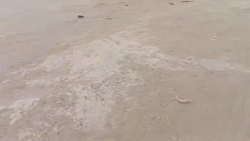 اسلام عليكم ارض زراعيه  وركن عله شارعين موقع حولي شارع المطار عمود ٢٣٣  مقابل حي العسكري مكاتبه  معه المالك الاصلي قرار محكمه عقد ٣٥ 
مساحته ٥٥٠ يوجد فيها موكب وواجهيه مساحته ٤٠٠ 
ويوجد فيها مشتملات اثنان هيكل  بناء جديد  صبه كون كريت اساس وسقف واحد ١٣٠واحد ١٥٠ ومربعات 
سعر خاص الرقم *********** ما متواجد عل الفيس هاذه الرقم بي واتساب
