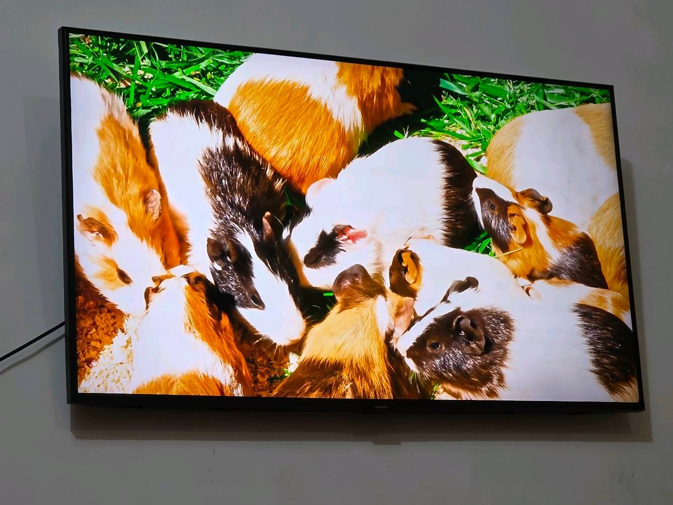 للبيع شاشة سامسونك cu7000 حجم ٤٣ ضل كلش بسيط بالابيض يبين للبيع السعر ٢٥٠ عنواني بغداد اي استفسار عالرقم ***********