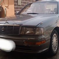 بطه للبيع او مراوس رقم بغداد سنويه 28 مصبوغة عام للجماليه مكفوله من لك...