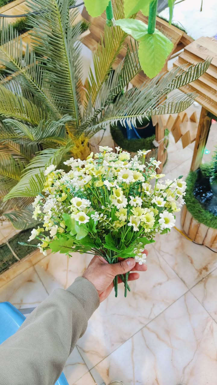 اغصان متدلي اكثر من موديلا 🎋☘️
اشكال وموديلات مختلفه  
عنوان المحل #واسط قضاء #النعمانيه 
 الشيشان الجديد الشارع الرابع
  محل الغيث للتسويق  محل الغيث للتسويق المنزلي


**إذا كنت صاحب هذا الإعلان وتريد حذفه لأي سبب، رجاءا أرسل رسالة إلى الدعم الفني**