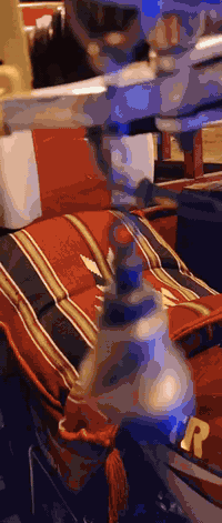 ستوته اللبيع موديل 18 مكفوله كفاله عامه تعمير كله25 الاتصال عله رقم 07...