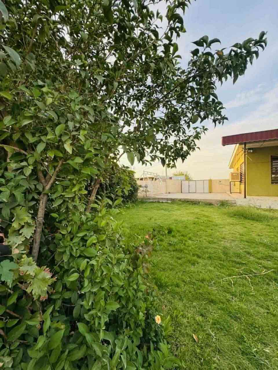 مةزرةعة بؤ فرؤشتن
شوين شيخ باز 
1500مةتر
بؤ زانيني نرخ ژةمارة 1 بنوسة 
***********
فايبةر واتسپاب
