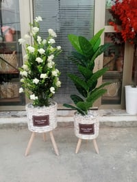 سيت سنادين خوص • متجر سعفة • حي الجمعية الأولى