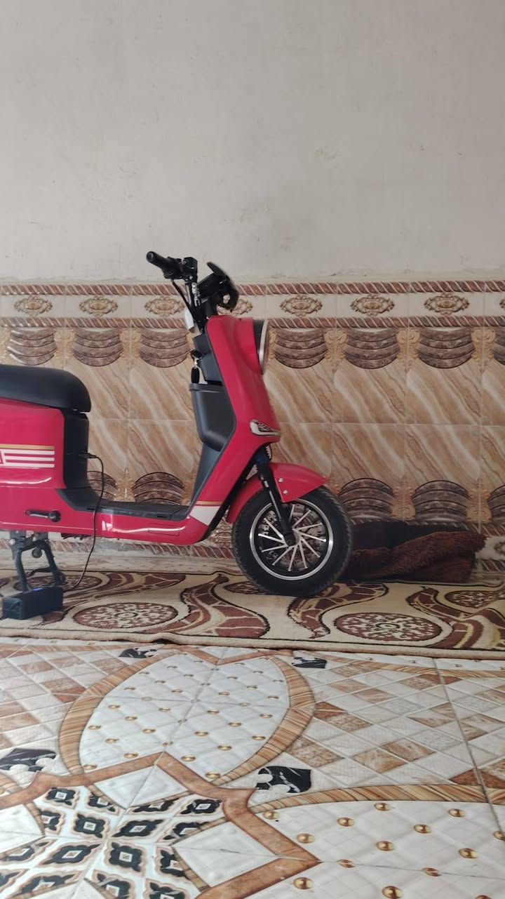 650


**إذا كنت صاحب هذا الإعلان وتريد حذفه لأي سبب، رجاءا أرسل رسالة إلى الدعم الفني**