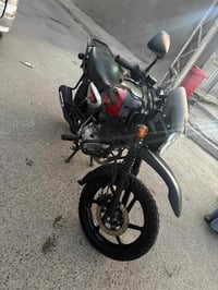 بوكسر ٢٣ • كفالة عامة • لوحات بغداد