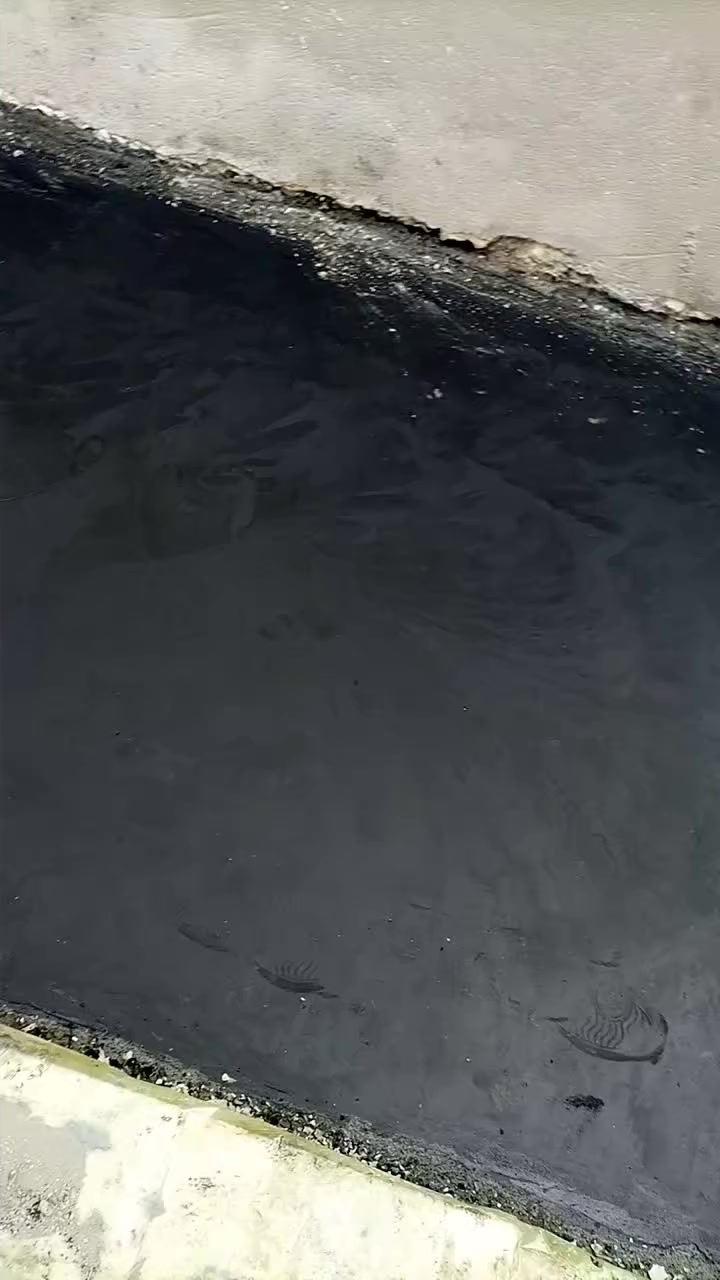 السلام عليكم شباب اي واحد يحتاج صاقوله يتصل وبيه خير وتدلل ٠شغل درجه اوله***********
