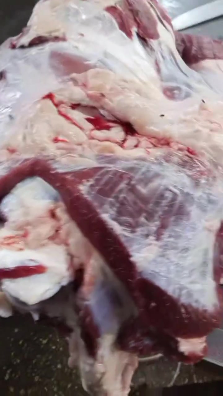 أسعار أللحوم 🐑🐄ليومنا هذا
لحم غنم عراقي ذبح اليوم .........20 ✅️

لحم عجل عراقي ذبح اليوم.✅️

لحم عجل مفروم  ...............16 ✅️

لحم شرح ....................16 ✅

ليه غنم…………….20.000 ✅

للطلب والاستفسار التواصل ☎️

***********📞

يتوفر لدينا خدمة توصيل 🚚
