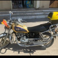 جوندا • اوراق كاملة • نظيف