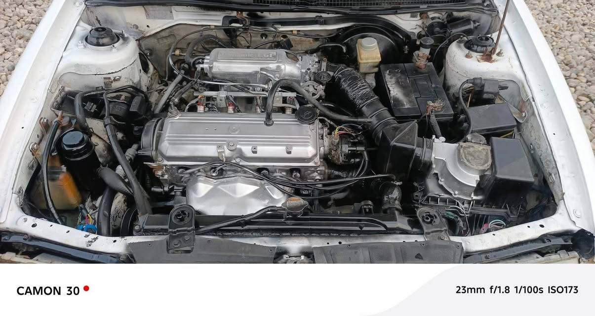 ((مـكلف بالــــــنشر)) 
للـبــــيـع
 ڪيا سـيـفيا
مـوديـل 1992
رقـم بـغداد 
 كير عادي
مكينه مفتوح 
تخم تاير جديد
صدر امامي خلفي جديد
كير مكينه حداديه 
كهربائيات  كله شغاله 
مكفوله ضربه وكص 
السعر 35 وبيها مجال 
مكاني الديوانيه
الاستفسار 
‏‏‪
‏‪‏‪***********
