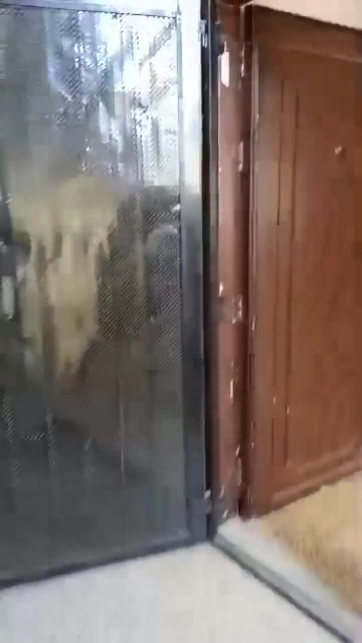 شقه وصطية للبيع في ضاحيه المهاجرين شارع١٣ غرف٣ غرفي كبيره عشارع مع برنده تجاه شرقي
مزيد من تفاصيل ابو أمير الفاعوري
0994208798


**إذا كنت صاحب هذا الإعلان وتريد حذفه لأي سبب، رجاءا أرسل رسالة إلى الدعم الفني**
