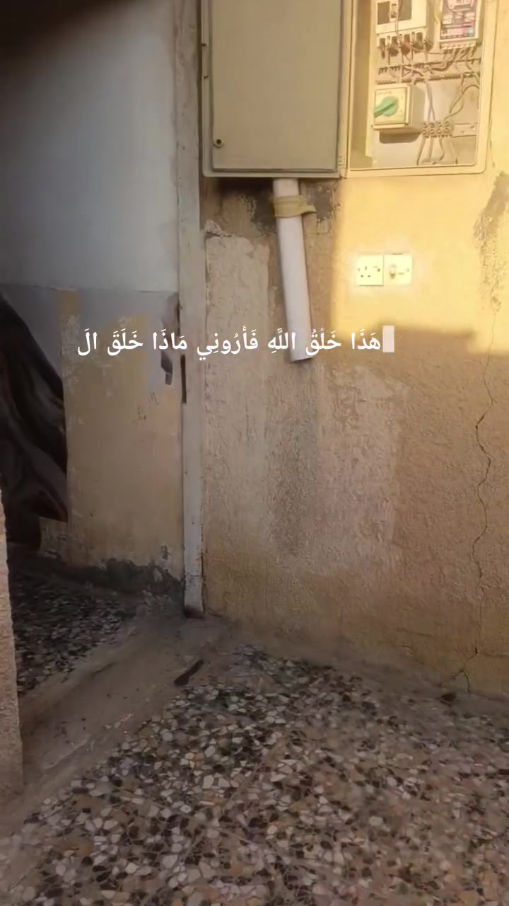 بيت للايجار العبيدي نهاية شارع الشهداء قرب حي الرحمة  قرب مدرسه عمر
*********** للاستفسار
