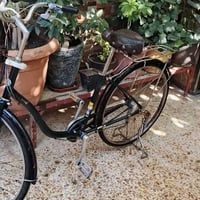 دراجة • زيتوني