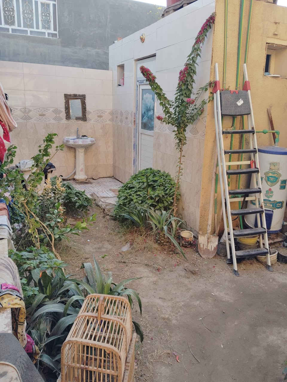 الدار للبيع المساحه 200متر طابو زراعي سند 25 تحويل مباشر بأسم المشتري الموقع على ربيانه قرب الشيخ أبو أنس أو مولدة محمد شاكر يتكون من غرف نوم ثنين وستقبال وصاله ومطبخ مجمع صحي خارجي وحمام داخل شارع تبليط ومجاري بناء طابوق السقف عكاده+حديقه وطارمه البيت كامل كلشي معايز أي استفسار إتصال على الرقم التالي واتساب *********** 
أو مراجعة مكتب ابو زهراء التميمي شارع المواكب مقابل حسينية الخزرج الخاص مفتوح
