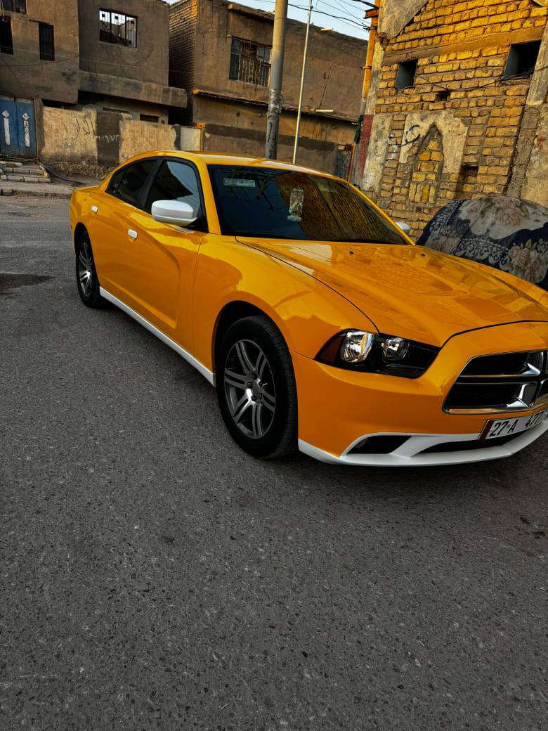 سلام عليكم جارجر 12 للبيع رقم ذي قار بسمي 
ظرر جاملغ بدون عابر تفاصيل اكثر اتصل 
***********
‏‪+9647723851544‬‏
