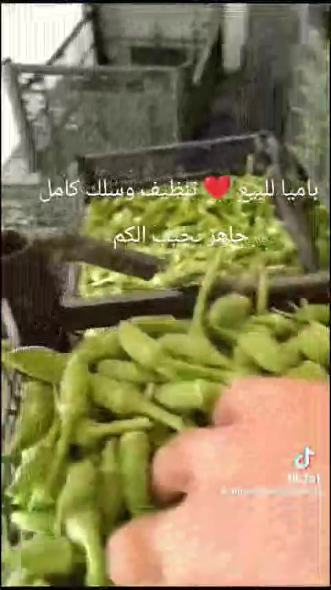 كليجه للبيع 🙂وباميا للبيع 🙂 تنظيف وسلك كامل جاهز نجيب الكم ويوجد خبز مال البيت ونظيف يوجد توصيل داخل كركوك


**إذا كنت صاحب هذا الإعلان وتريد حذفه لأي سبب، رجاءا أرسل رسالة إلى الدعم الفني**