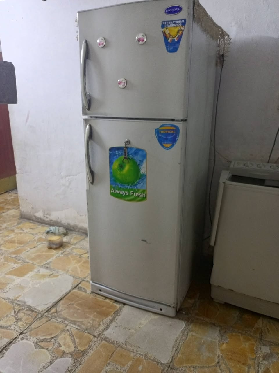 سلام عليكم ثلاجه شغاله سعرهه ميتين وبيهه مجال وسبلت شغال سعره ميتين وبي مجال 
‏‪***********‬‏ وهاذ رقم المكان بغداد البلاديات
