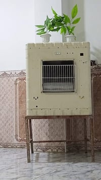 مبردة • فايدة • واتس