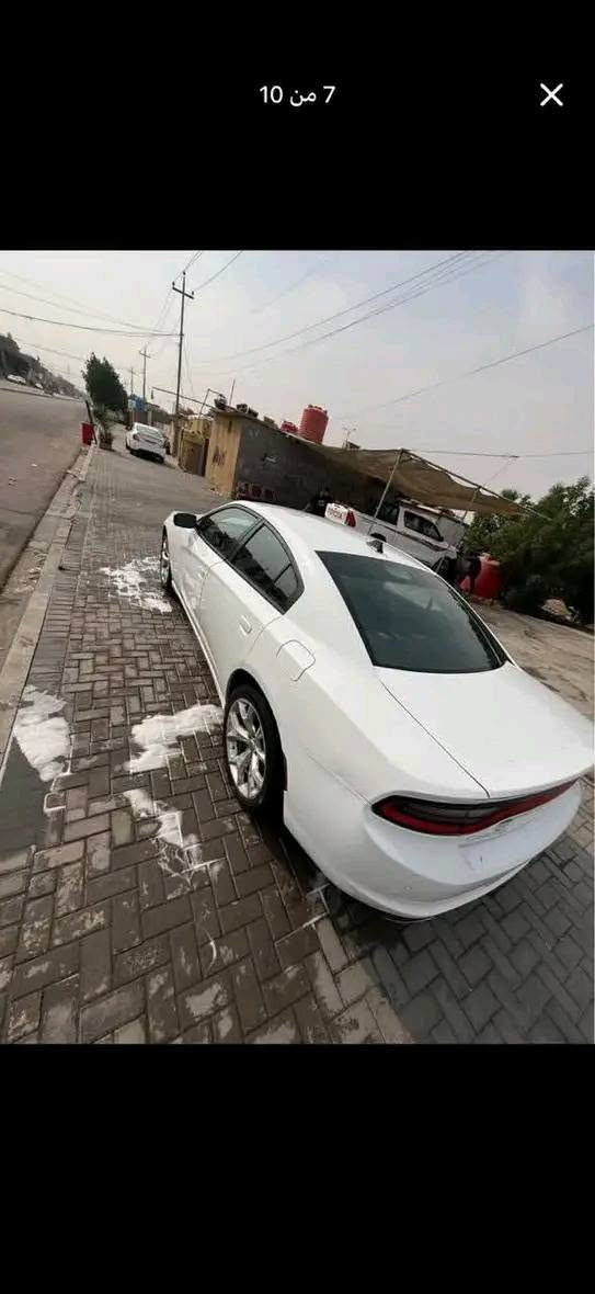 سلام عليكم السعر [165] اوبيه مجال من رخصه الادمن البيع / دودج جارجر ((2020)) اصل اصل رقم اربيل تحويل ثاني يوم ب اسم المشتري سنويه جديدهه السياره حادث امريكه بابين وهنا بلعراق جاملغ تبديل وجاملغ صبغ 
مواصفات السياره 
1/مكينه وكير كفاله 3600
2/ شاشه كبيره كار بلي 
3/ كاميرا خلفيه مع حساسات 
4/ تبريد تدفئه امامي خلفي ثلج 
5/ تخم تاير مع ويل 20  
6 / حداديه امامي خلفي جديده 
7/تحكمات ستيرا 
وباقي المواصفات معروفه والسياره جاهزه من كلشي وجديده ومعتني بيهه واحلا من الصوره بهواي  والعلم صور حديثه  السعر (165$) اوبيه مجال للشراي انشالله تجي وشوف ***********)   البصره )
