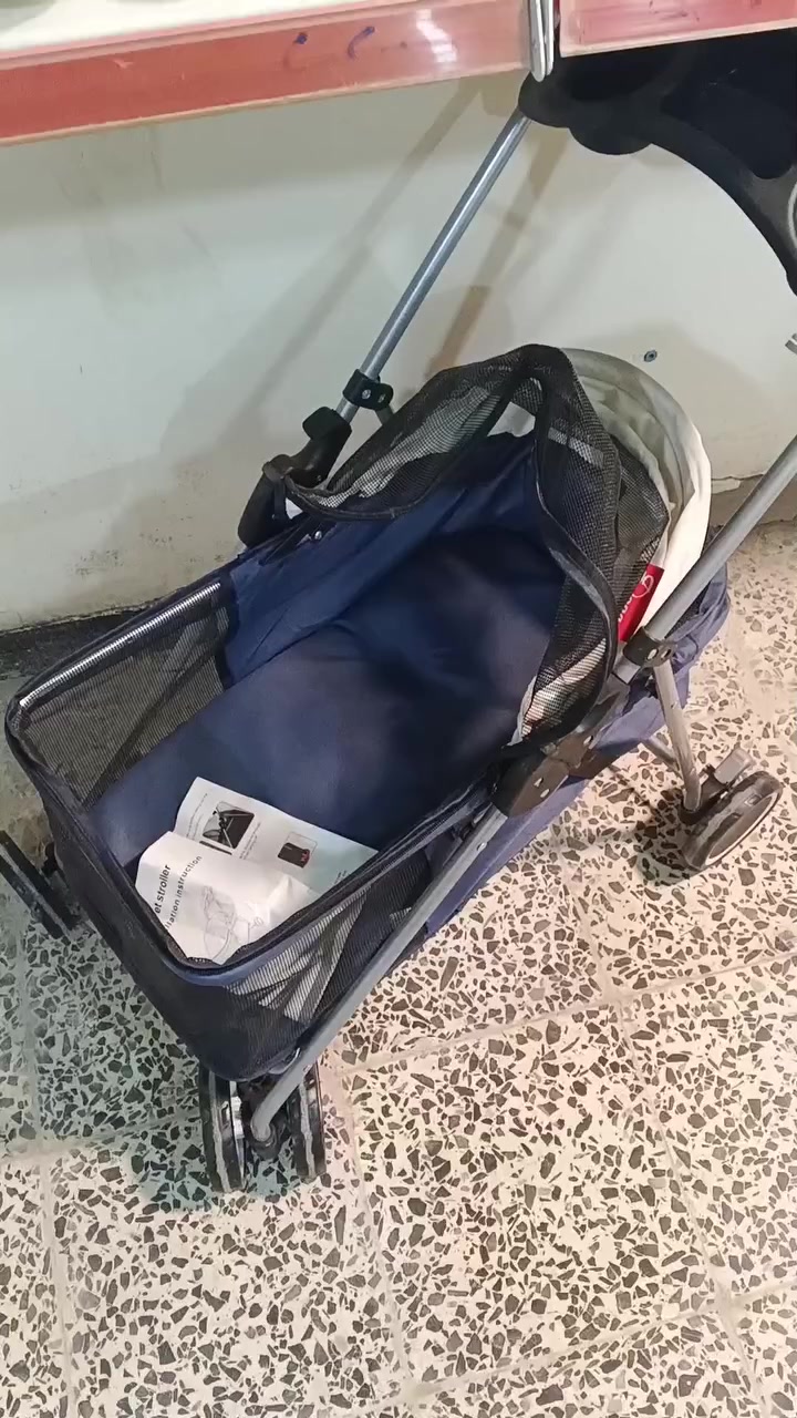 عربانة اطفال جديد غير مستخدم


**إذا كنت صاحب هذا الإعلان وتريد حذفه لأي سبب، رجاءا أرسل رسالة إلى الدعم الفني**