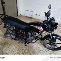 شايننك 2023 • كفالة سنوية • رقم إنكليزي