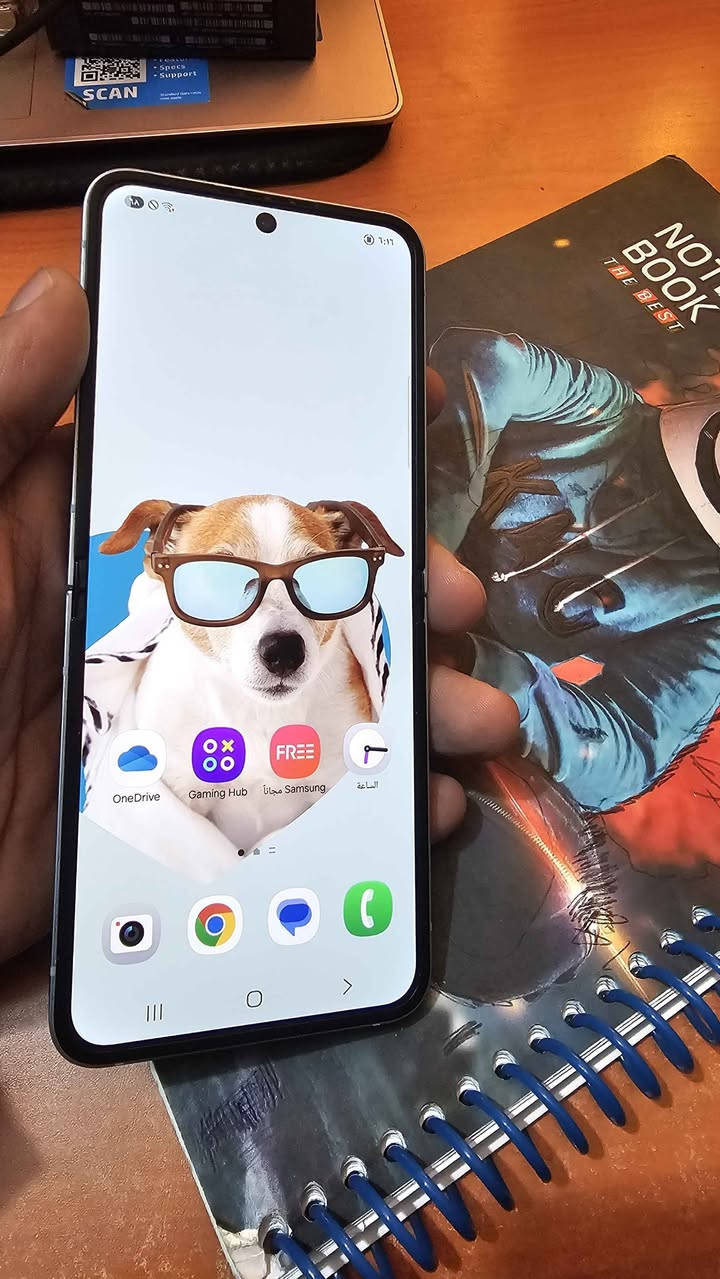 زت فلب ٦ ذاكرة ٢٥٦ نضافة ١٠٠ مكفول من كلشي بدون ملحقات مكاني مدينة الصدر السعر ٥٥٠الف نهايتة قفل
*********** بغداد, العراق
