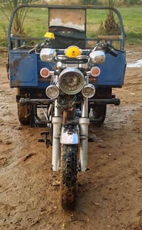 ستوته • ٢٠١٧ • وراق اصولي