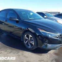 النترا • ٢٠٢٣ • حادث وارد امريكا