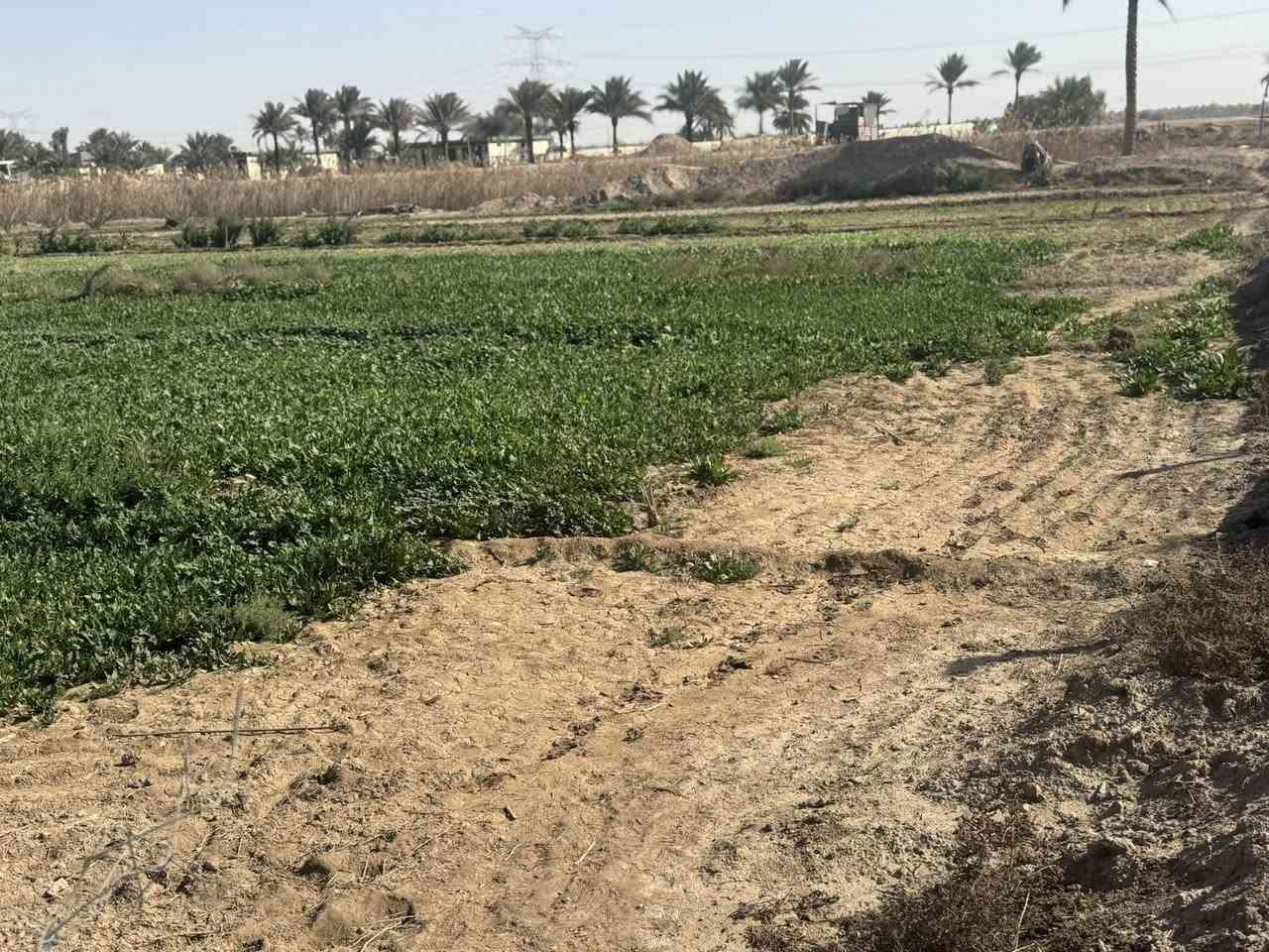 فرصة مميزة للراغبين بالاستثمار أو السكن 👌
تتوفر قطع أراضي بمساحات كبيرة وموقع ممتاز على طريق حلة – نجف، قريبة من الخدمات والطريق العام.

✔️ موقع استراتيجي

✔️ مناسبة للسكن أو المشاريع

✔️ أسعار مناسبة وقابلة للتفاوض

للاستفسار والمزيد من التفاصيل يرجى التواصل ***********
