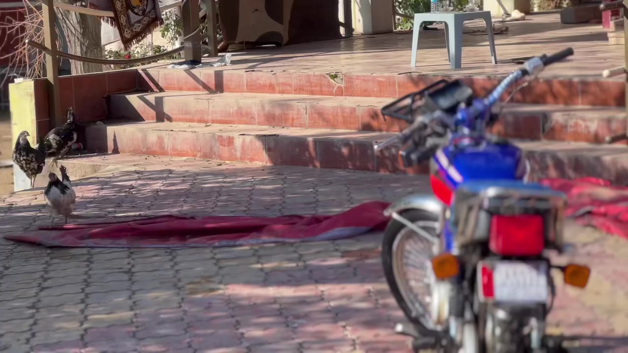 شرط كلام ما يكفي رقم ***********
سعر 600بي مجال
