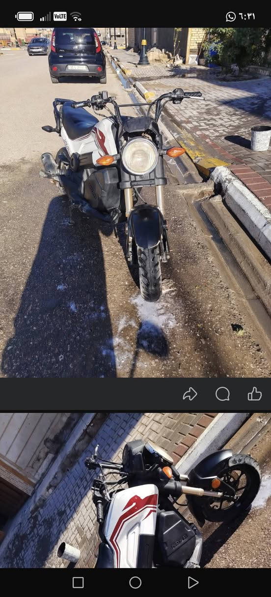 نوفه للبيع  العنوان الحكم
تلفون. ***********
