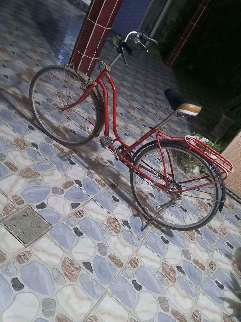 السلام عليكم بايسكل حجم 27 السعر 70 وبي مجال للطيبين الموقع ديالى شهربان المقدادية حي المعلمين 
رقم تواصل *********** موجود خاص
