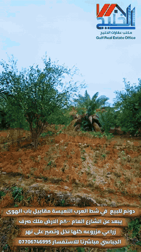 البصرة شط العرب • دونم واجهة نهر • طابو زراعي