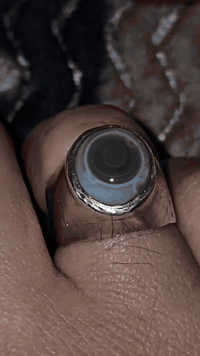 سليماني قديم فوال
***********
