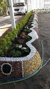 🌿 من صحراء يابسة إلى خضرة وألوان تنبض بالحياة 💚 الجوهرة الخضراء... نخل...