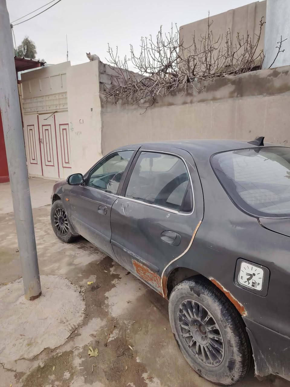 كيا كلاروس
كير توماتيك محرك شرط كير شرط حداديه كامله  تحتاج فقط صبغ وطخم صاحبها الشراعي اني 
السعر 35 بيها مجال بسيط الاستفسار اكثر ***********
