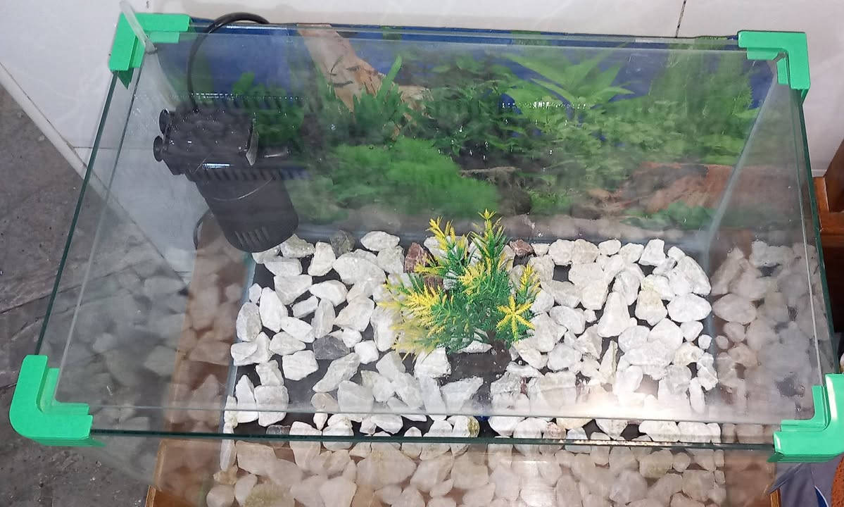 حوظ اسماك زينه 50x30
ماطوره فلتر ضخ هواء وتصفيت ماء الحوض
شبكة صغيره للسمك ولتنظيف الحوظ 
شجرة زينه مع حجر الحوض وعلبة اكل
المكان سبع البور / الضباط السعر ٤٠ الف وبيها مجال
تواصل واتساب ***********
