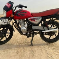 بوكسر • فحل • رقم انكليزي