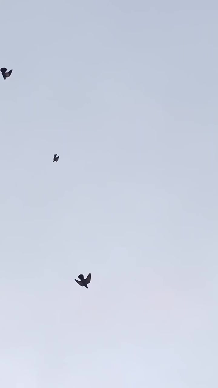 فحل بدوه عله المطيار مكاني مدينه الصدر


**إذا كنت صاحب هذا الإعلان وتريد حذفه لأي سبب، رجاءا أرسل رسالة إلى الدعم الفني**