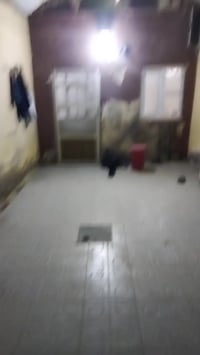 الديوانيه حي الميكانيك • 150م • طابو صرف