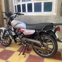 شايننك • موديل 2025 • أوراق سكنر