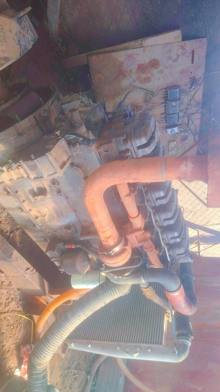 مولده بومه سكانيه أوربي ١٢٤ راس توليد ستانفورد بلادي مامفتوح للأستفسار ***********
