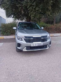 سيلتوز • ٢٠٢٥ • وارد امريكي