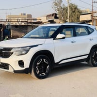 سيلتوز • ٢٠٢٤ • بانوراما