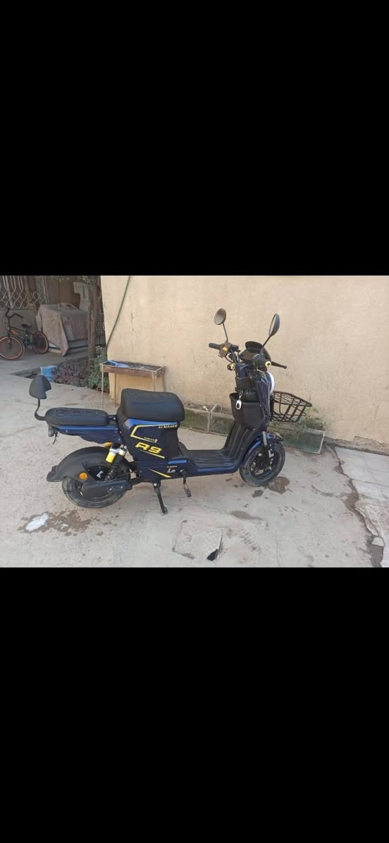 R9 موديل 26 اقل الشهرين استعمال قليل  بطاريات عدد 5 لد اسيد 12 فولت بصمه كارتين سويج  ثلاث سرع فعليا تمشي 100 مكان بغداد ابي غريب السعر 350  وبيها مجال قليل


**إذا كنت صاحب هذا الإعلان وتريد حذفه لأي سبب، رجاءا أرسل رسالة إلى الدعم الفني**