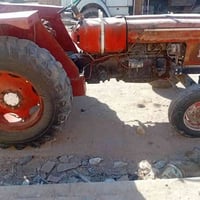 عنتر • ذي قار الشطره